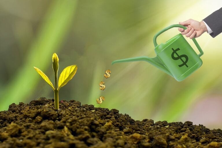 Dividend